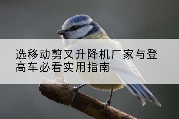 吴江电动升降机厂家-选移动剪叉升降机厂家与登高车必看实用指南