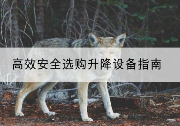 吴江升降货梯厂家推荐-*安全选购升降设备指南