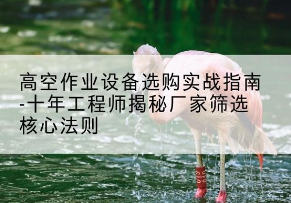 吴江剪叉式升降机厂家-高空作业设备选购实战指南-十年工程师揭秘厂家筛选核心法则